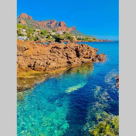 Antheor - Vue Exceptionnelle - Refait A Neuf 4 Couchages Lägenhet Saint-Raphaël Exteriör bild
