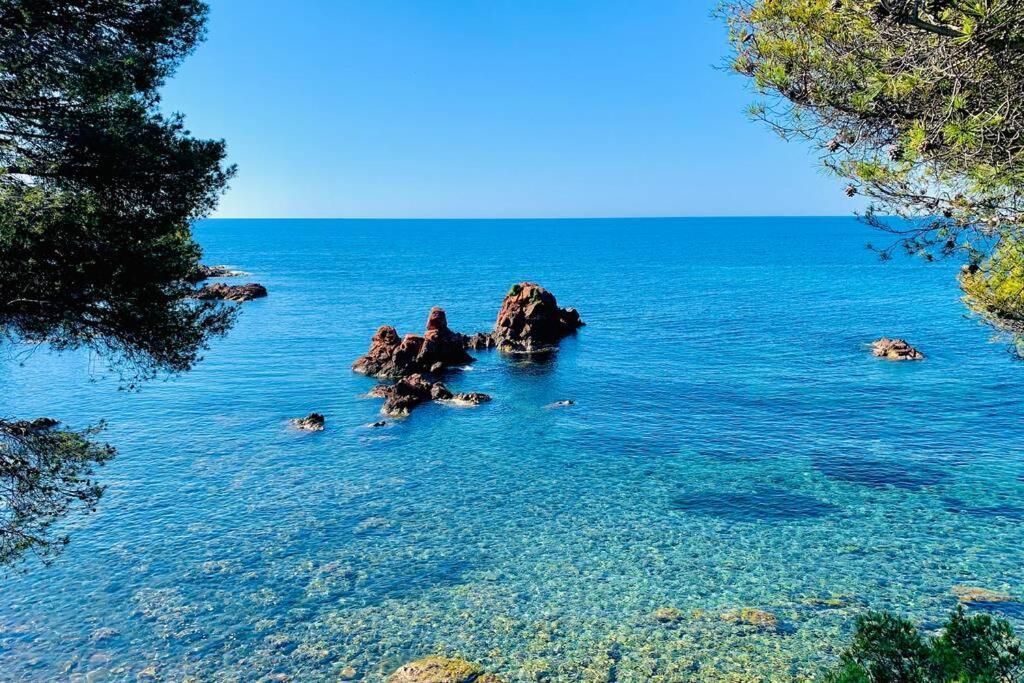 Antheor - Vue Exceptionnelle - Refait A Neuf 4 Couchages Lägenhet Saint-Raphaël Exteriör bild