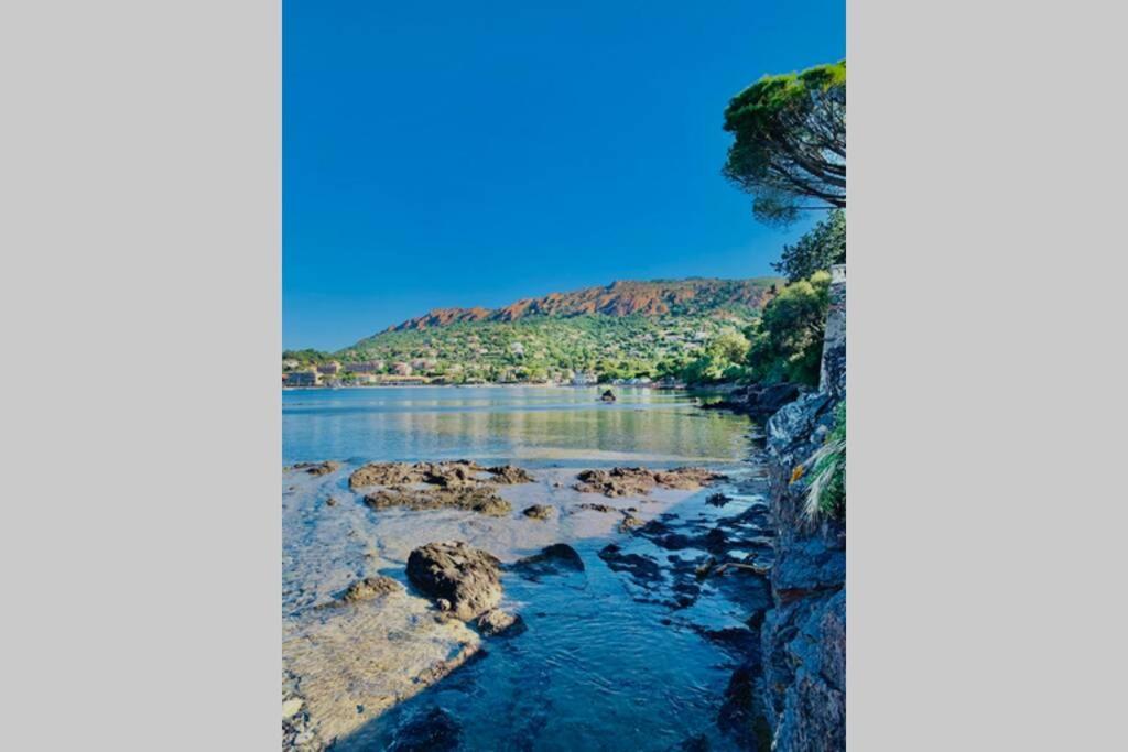 Antheor - Vue Exceptionnelle - Refait A Neuf 4 Couchages Lägenhet Saint-Raphaël Exteriör bild