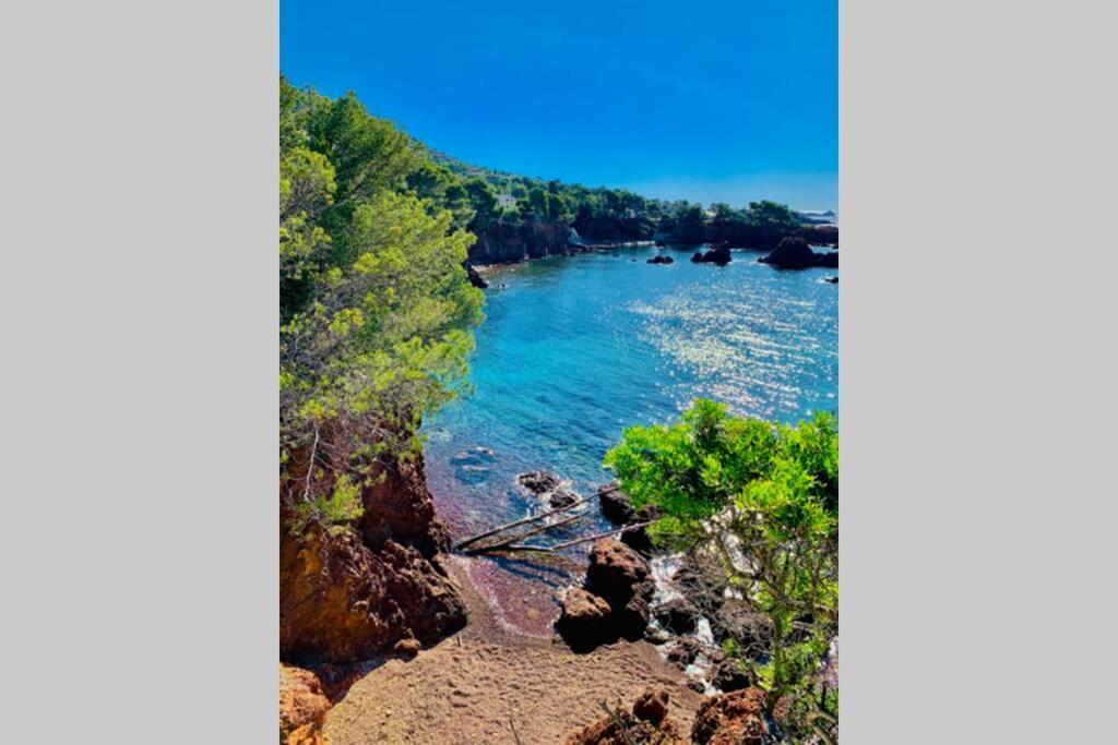 Antheor - Vue Exceptionnelle - Refait A Neuf 4 Couchages Lägenhet Saint-Raphaël Exteriör bild